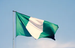 Nigerian flag Labrador Photo Video / Shutterstock.